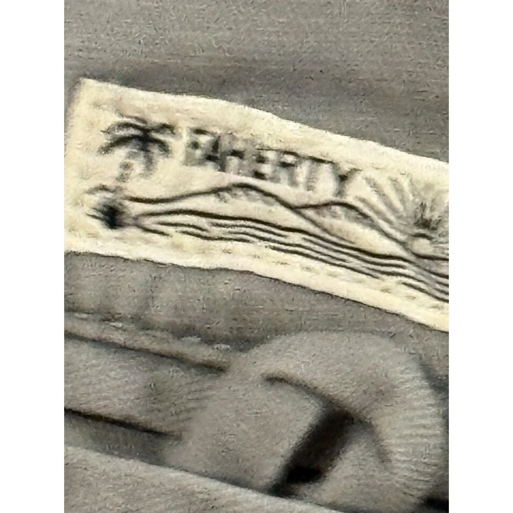 Faherty Size 38 Gray Shorts (C1)